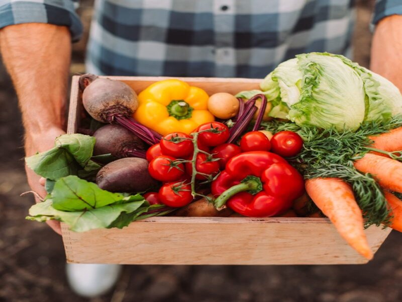 Fresh market vegetables and produce arranged in wooden crate